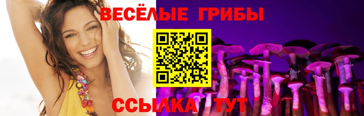 Псилоцибиновые грибы MAGIC MUSHROOMS  Вход с VPN  Самара 